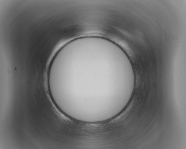 X0000112071470200908040941