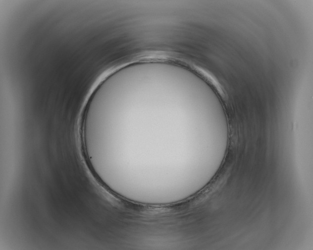 X0000112071475200908040941