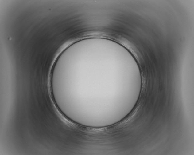 X0000112071482200908040940