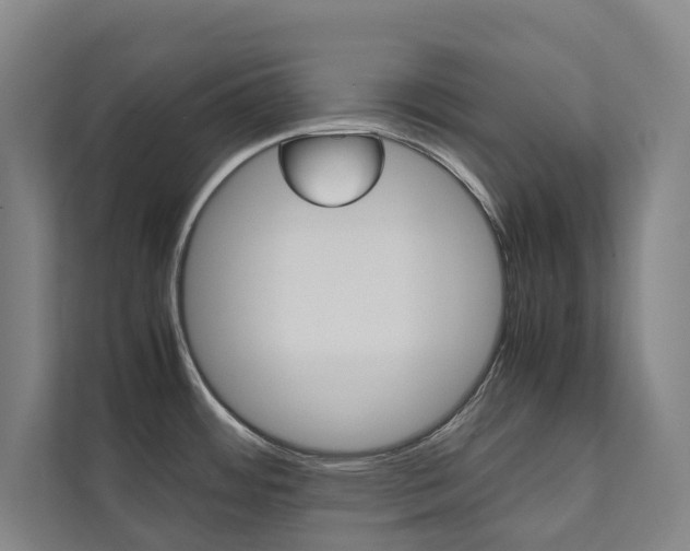 X0000112071484200908040940