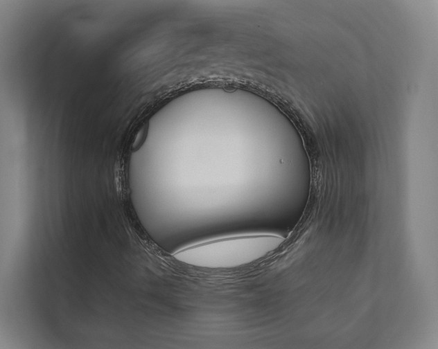 X0000112071490200908040940