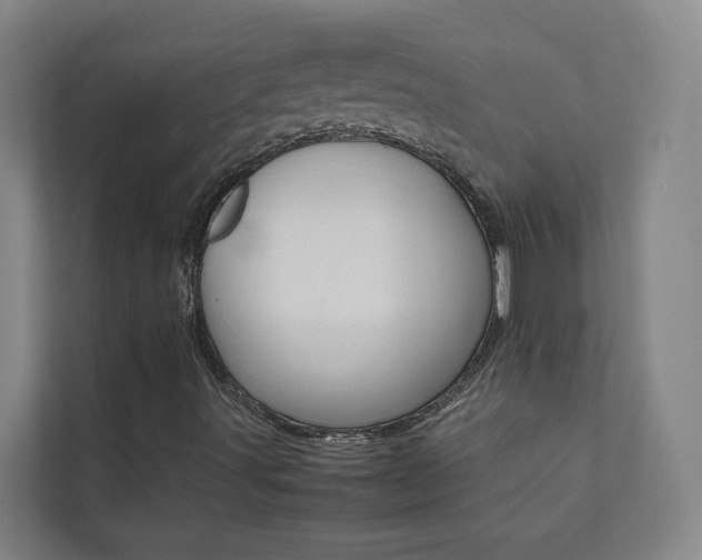 X0000112071491200908040940