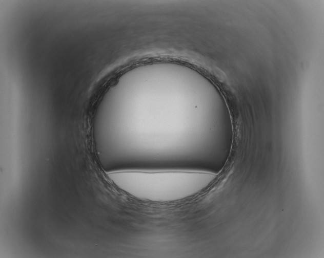 X0000112071494200908040940