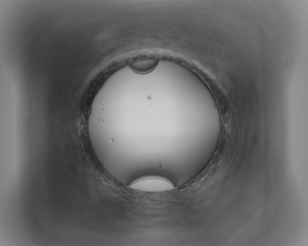 X0000112071495200908040940