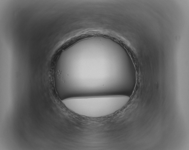 X0000112071496200908040940