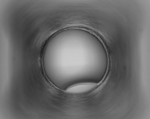 X0000112071497200908040940