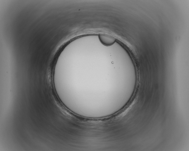 X0000112071498200908040940