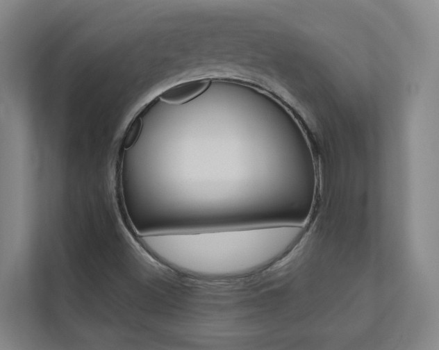 X0000112071500200908040940