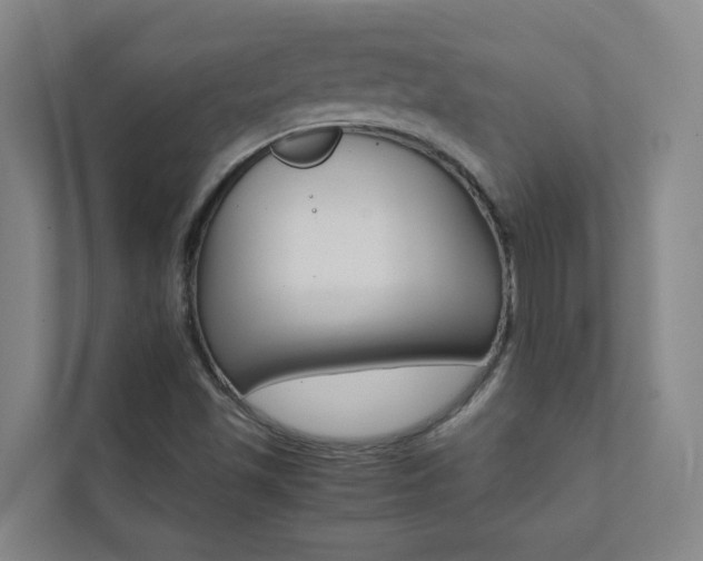 X0000112071501200908040940