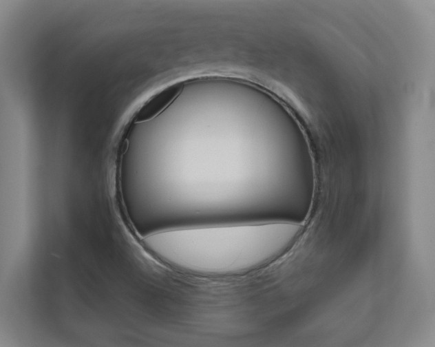 X0000112071504200908040940