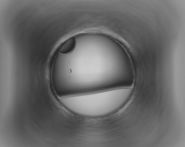 X0000112071506200908040940