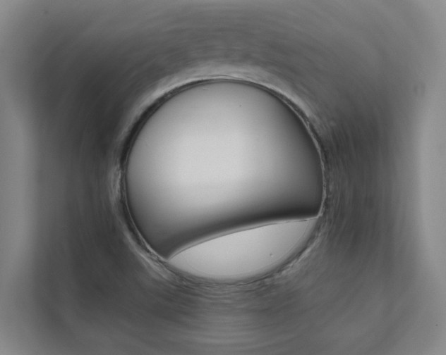 X0000112071507200908040940