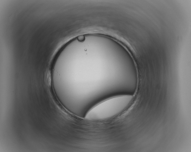 X0000112071509200908040940