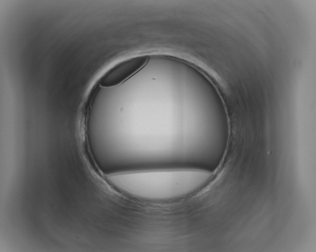 X0000112071510200908040940