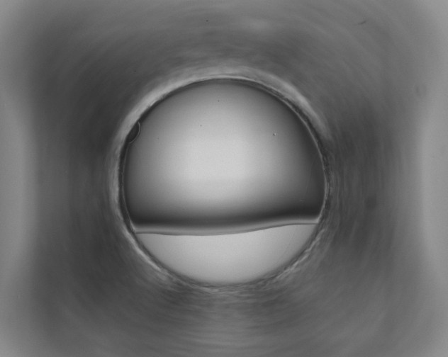 X0000112071512200908040940