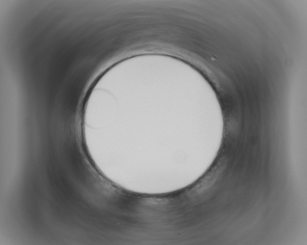 X0000112071514200908040940