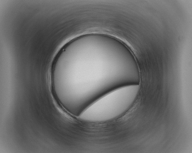 X0000112071515200908040940