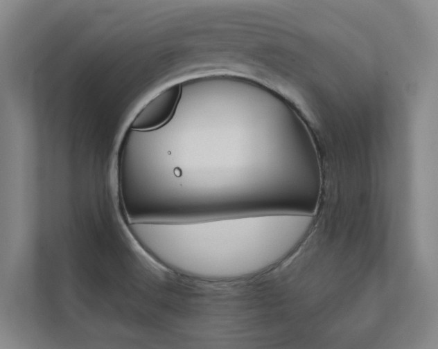 X0000112071516200908040940