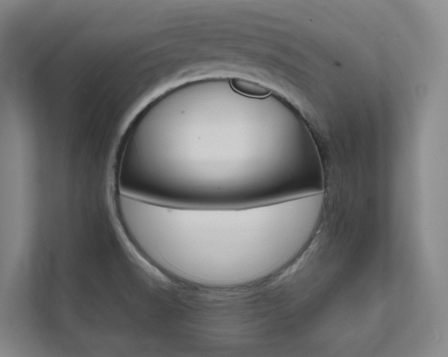 X0000112071518200908040940