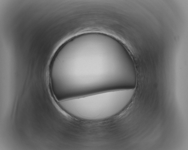 X0000112071519200908040940