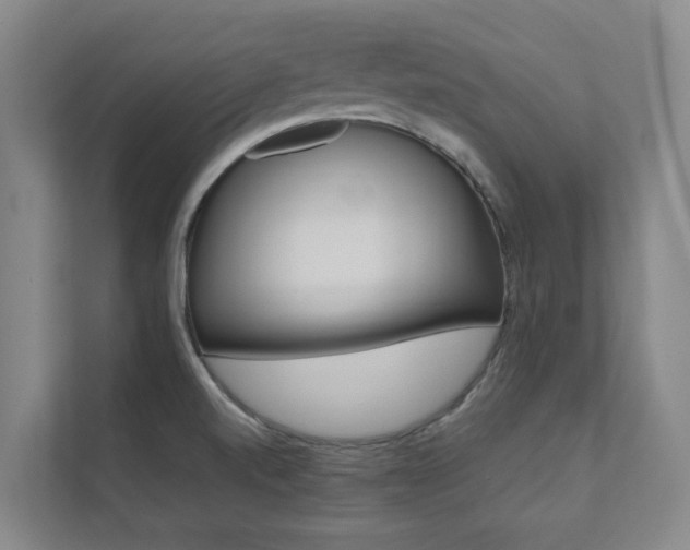 X0000112071520200908040940