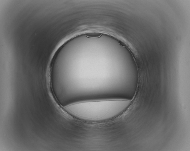 X0000112071522200908040940