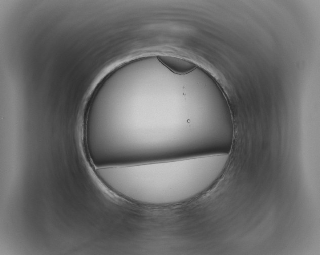 X0000112071523200908040940