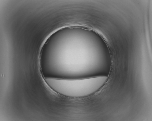 X0000112071524200908040940
