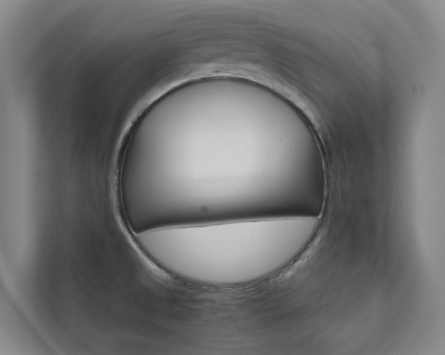 X0000112071525200908040940
