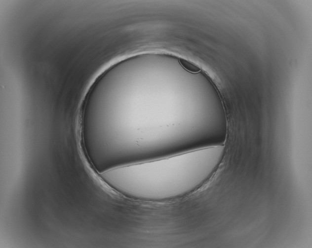 X0000112071526200908040940