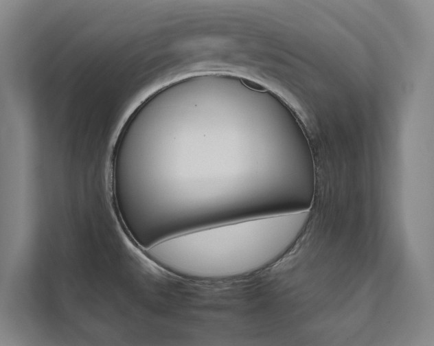 X0000112071527200908040940