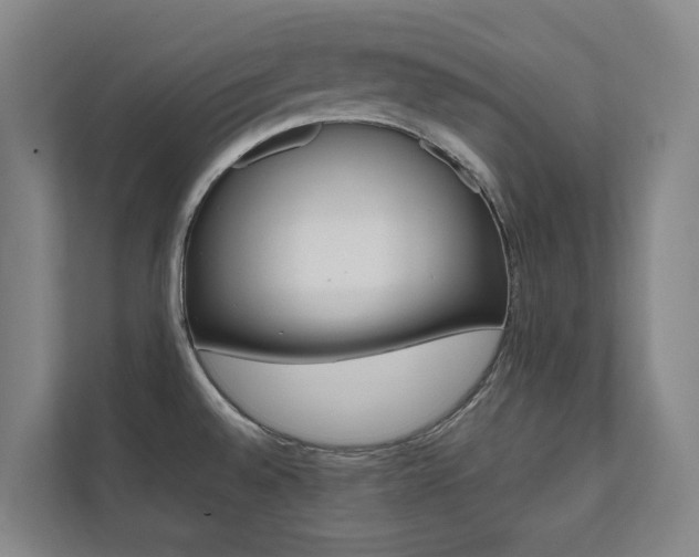 X0000112071528200908040940