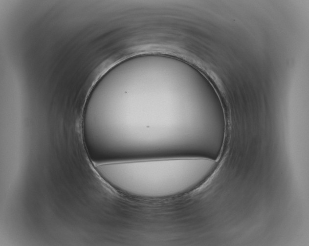 X0000112071529200908040940