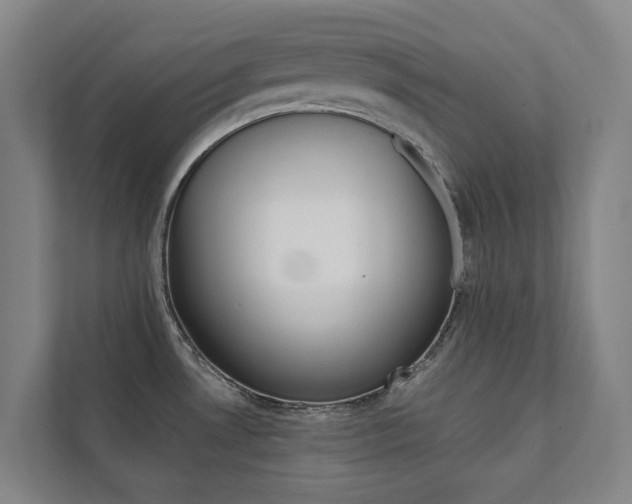 X0000112071530200908040940