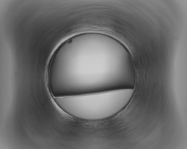 X0000112071531200908040940