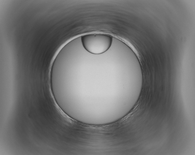 X0000112071532200908040940