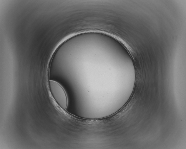 X0000112071534200908040940
