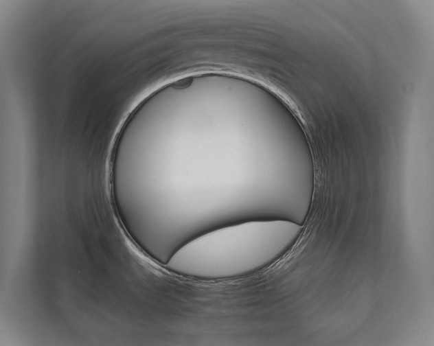 X0000112071535200908040940