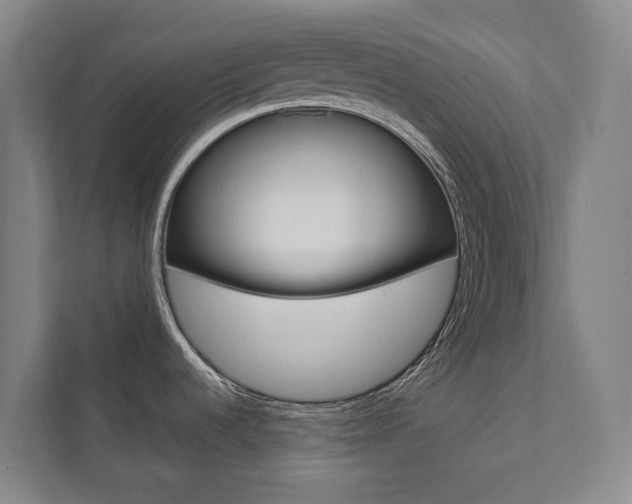 X0000112071536200908040940