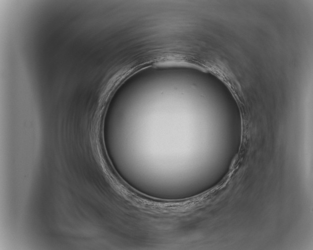 X0000112070001200908041243