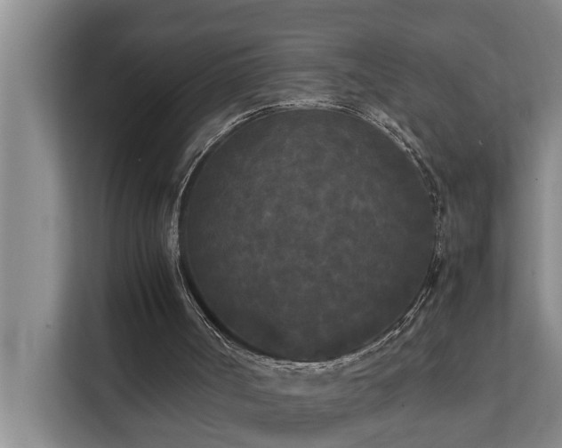 X0000112070002200908041243