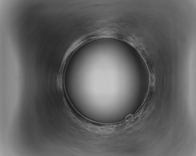 X0000112070004200908041243