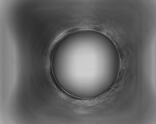 X0000112070005200908041243