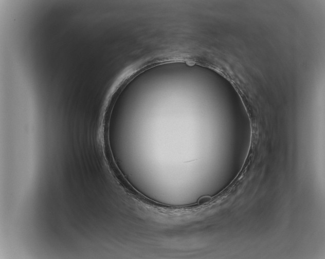 X0000112070006200908041243