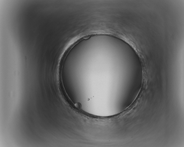 X0000112070008200908041243