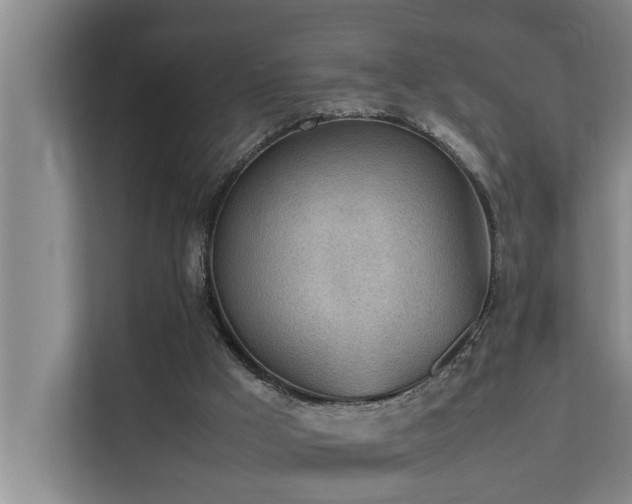 X0000112070009200908041243