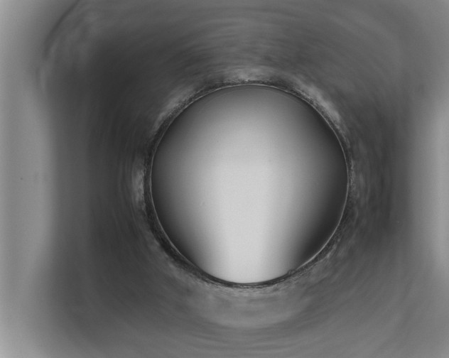 X0000112070010200908041243