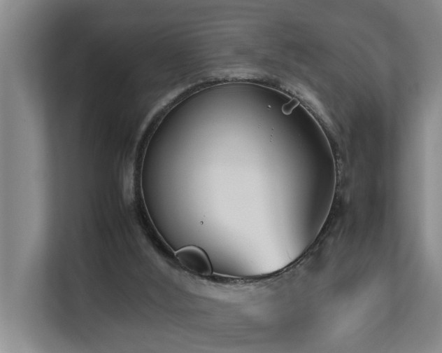 X0000112070012200908041243