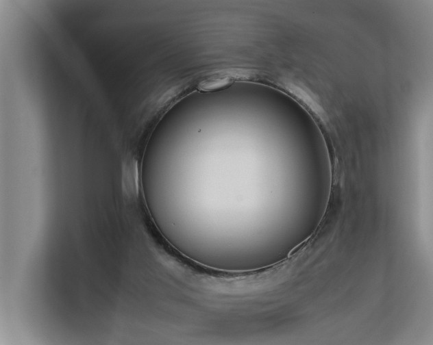 X0000112070013200908041243