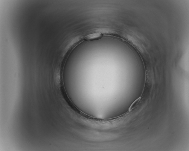 X0000112070015200908041243